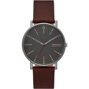 Skagen Signatur SKW6860