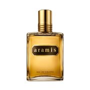 Aramis Aramis Тоалетна вода 110ml