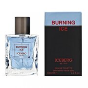 Iceberg Burning Ice Тоалетна вода - Тестер
