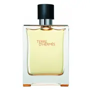 Hermes Terre D'Hermes Тоалетна вода - Тестер 100ml