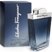 Salvatore Ferragamo Subtil Pour Homme Тоалетна вода 100ml