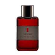 Antonio Banderas The Secret Temptation Тоалетна вода 100ml