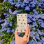 Миниатюра: Wild honey & cactus flower bee case deostick, 40 g - 486620586_1149102190348562_6774521135099687929_n