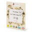 Миниатюра: Pracie pásiky issencia na 2 prania camibaby - Issencia - Camibaby - 02